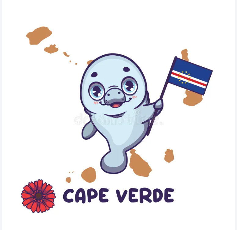 Cape Verde eSIM – Your Connection in Paradise
esim data plans
travel esim